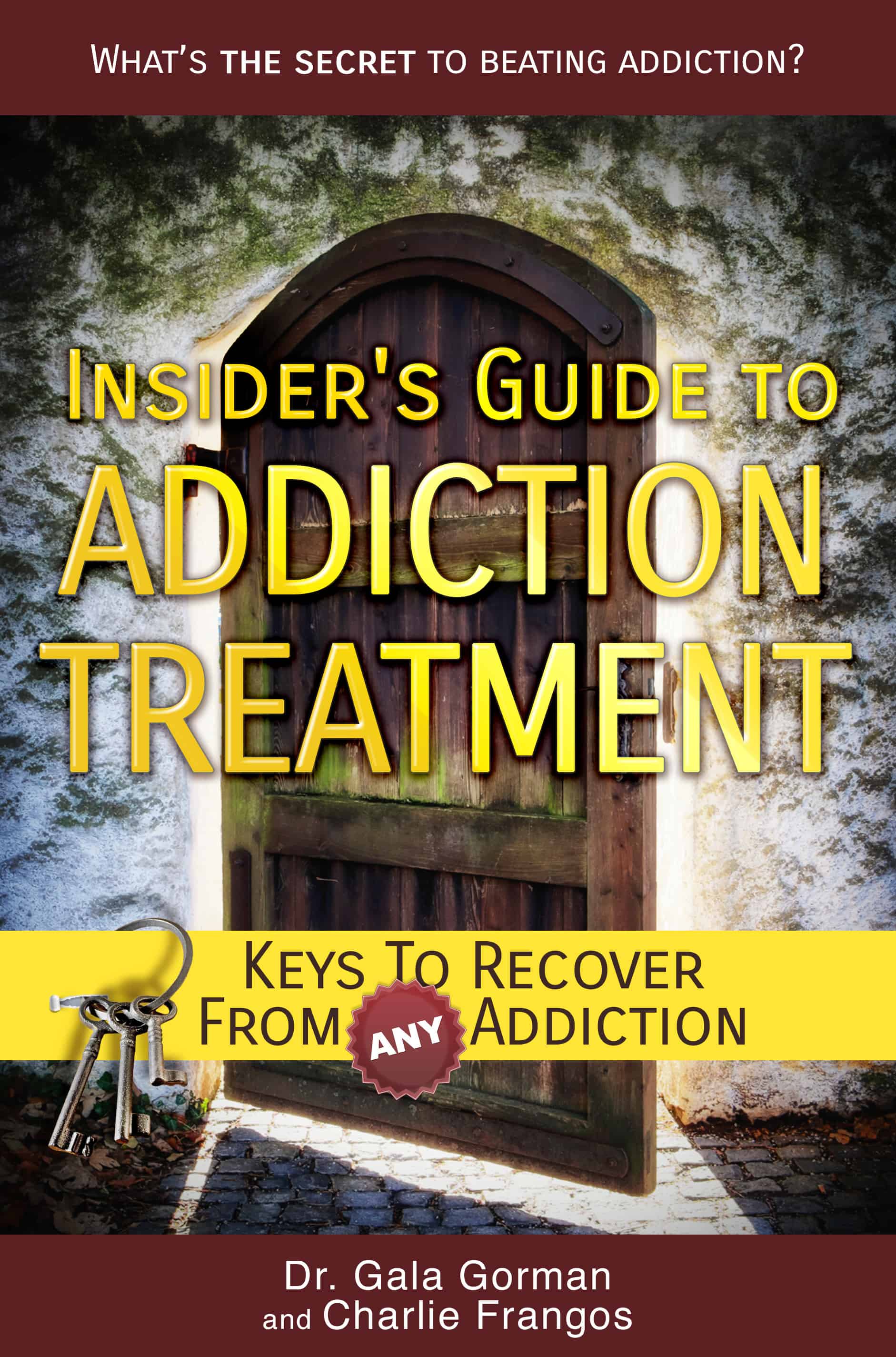 Insider's Guide to Addiction Treatment Book Survival Tools for Anyone Living