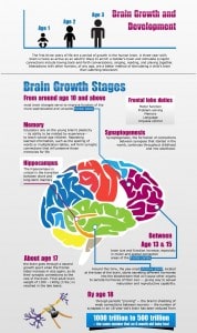 Teenage Addiction in the Brain | RecoverYES.com - Survival Tools for ...